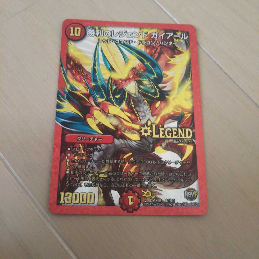 ちょむきぃ/レイドラ様専用