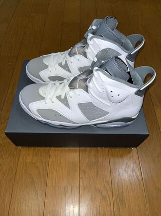 Nike Air Jordan 6 "Cool Grey" Ho Wight/Cool Grey/Medium Grey CT8529-100 28.5cm