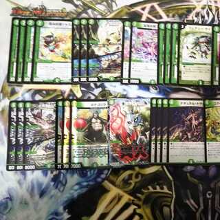 イカチ様専用      脳筋+青黒デッキ