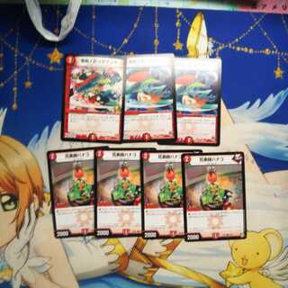 コダマンマ＆花美師ハナコ