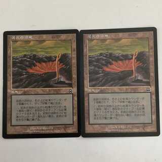 泥炭の沼地/Peat Bog （でいたんのぬまち）/日２