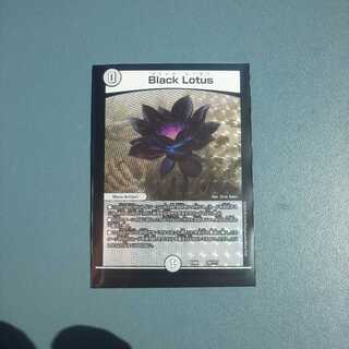 ブラックロータス 最終値下げ！