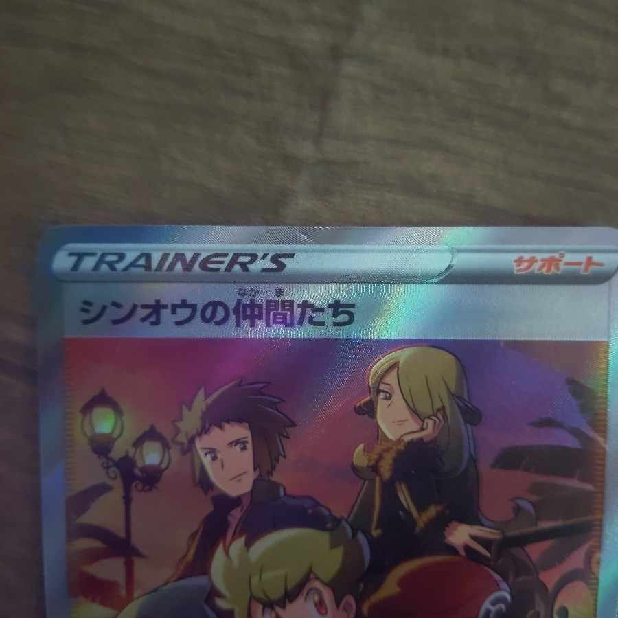 Shin-Oh's friends SR 247/172