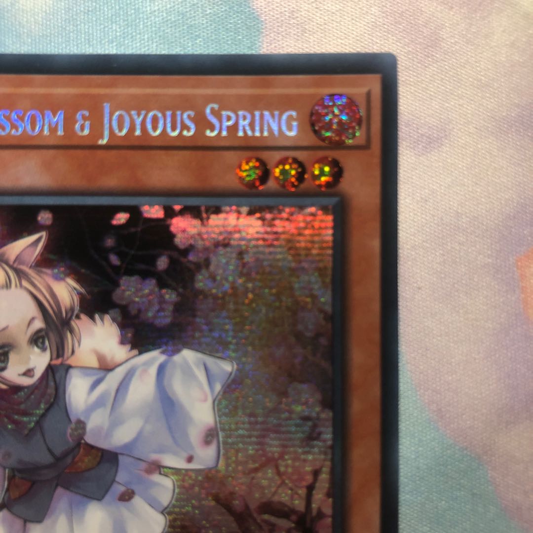 Ash Blossom & Joyous Spring EU version presic.