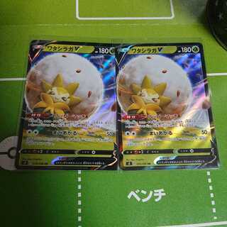 ワタシラガV RR2枚セット