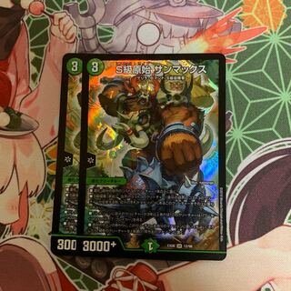 Class S Primitive Sunmax