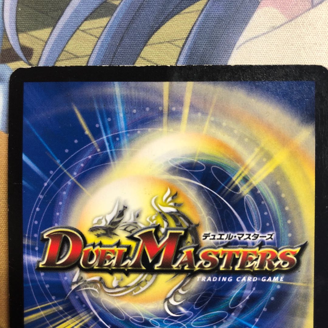 Chief of the Hundred Tribes Puchohenza Black Sikh Junk