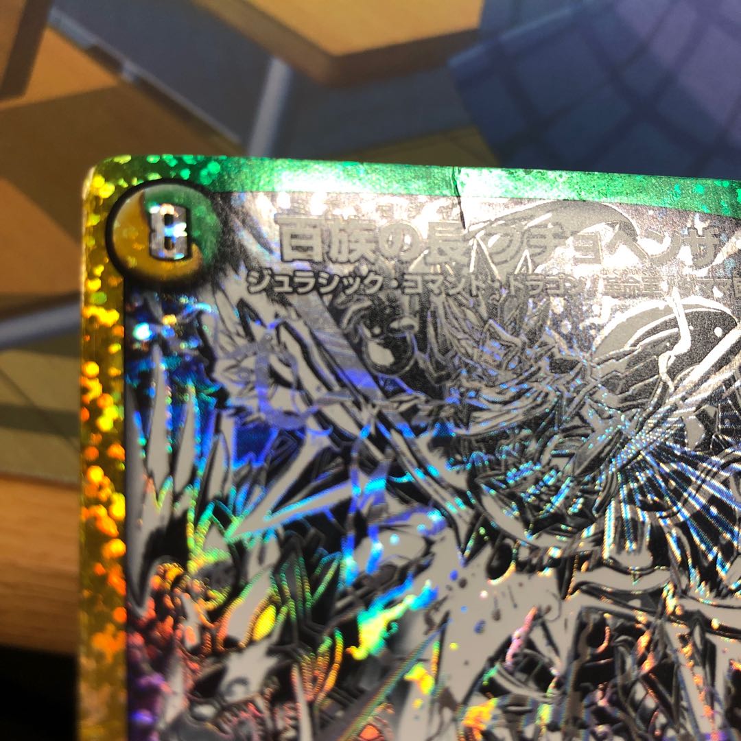 Chief of the Hundred Tribes Puchohenza Black Sikh Junk