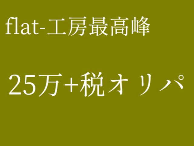 【一人1パック】25万+税オリパ!!!8