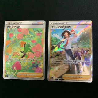 Gardenia's Vivify SAR 243/172 + Cheren's Caring Set of 2