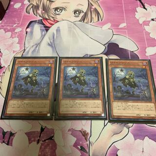 ワイトプリンス　3枚　