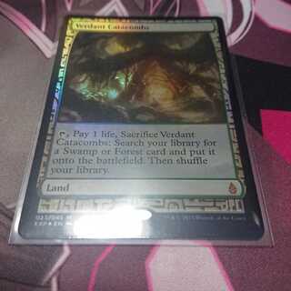 EXP 新緑の地下墓地