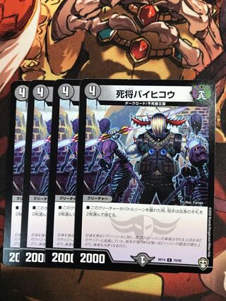 死将バイヒコウ C 70/95