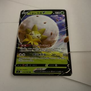 ワタシラガV 1枚