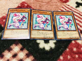 妖精伝姫-シラユキ