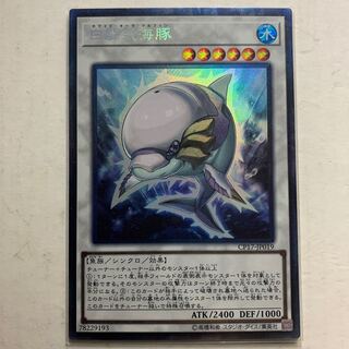 遊戯王　白闘気海豚　コレクターズレア　1枚