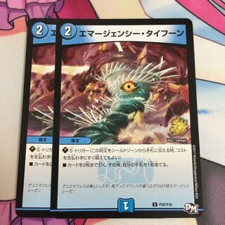 エマージェンシー・タイフーン