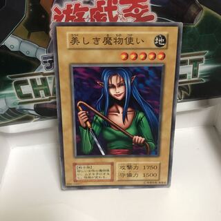 美しき魔物使い