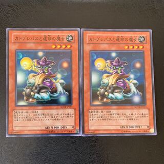 カトブレパスと運命の魔女 スーパー ２枚