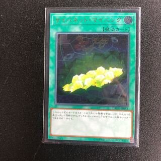 サイバネットマイニング