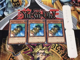 ファイバーポッド ノーマル 3枚セット