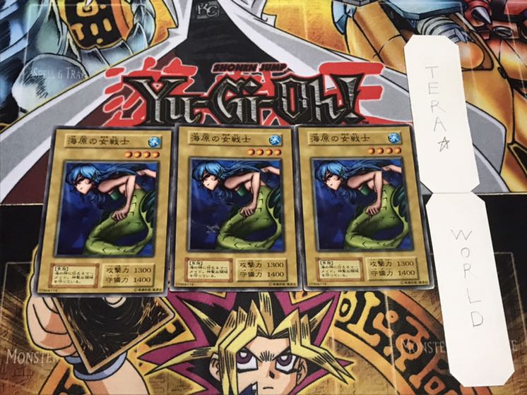海原の女戦士 初期 ノーマル 3枚セット 3枚