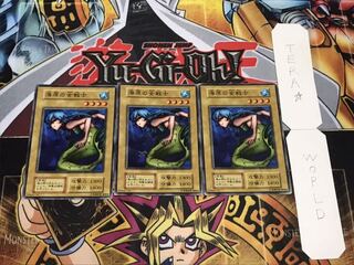 海原の女戦士 初期 ノーマル 3枚セット