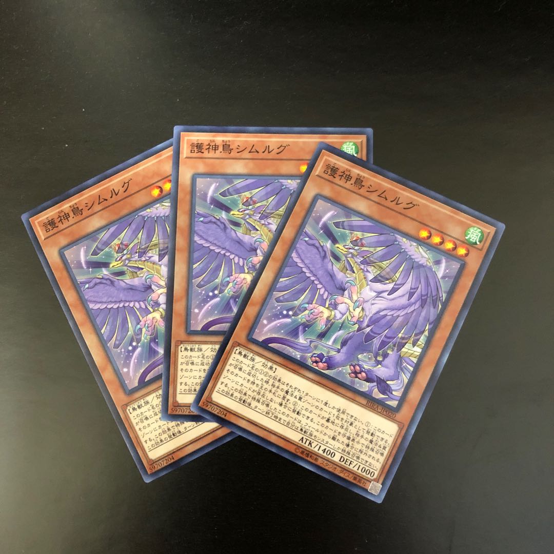 【N】護神鳥シムルグ【ノーマル】