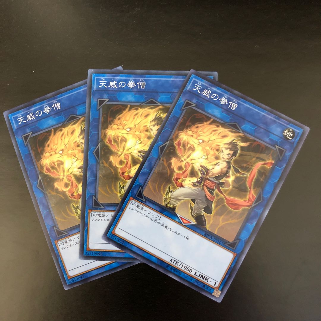 【N】天威の拳僧【ノーマル】