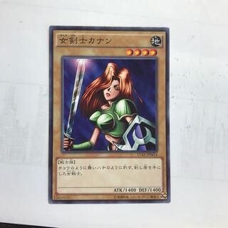 女剣士カナン 1枚