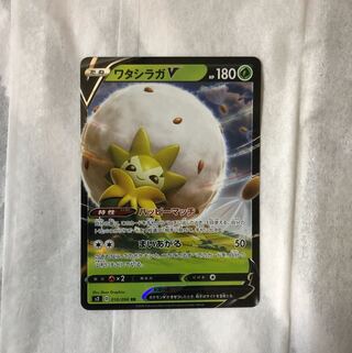 最安値！ワタシラガV