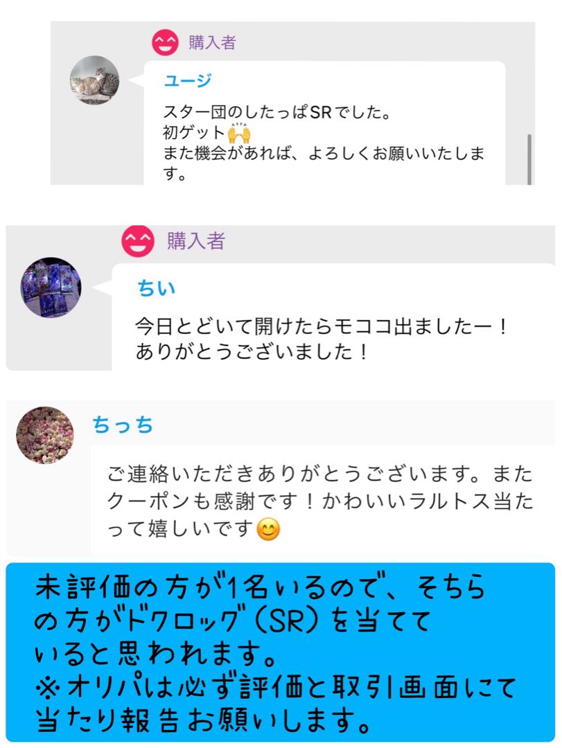 Sold Out] Seagull Oripa Report for confirmation