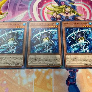 ライトハンド・シャーク