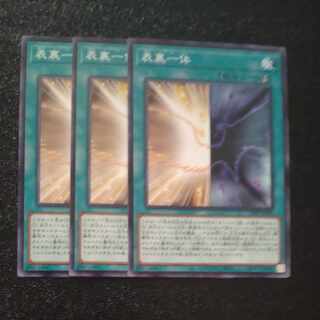 Front and back side Normal JP005✕3 [Mokurindo].