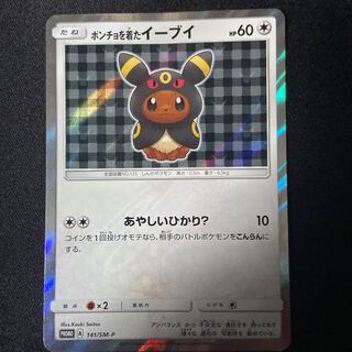 【美品】 ポンチョを着たイーブイ ブラッキー