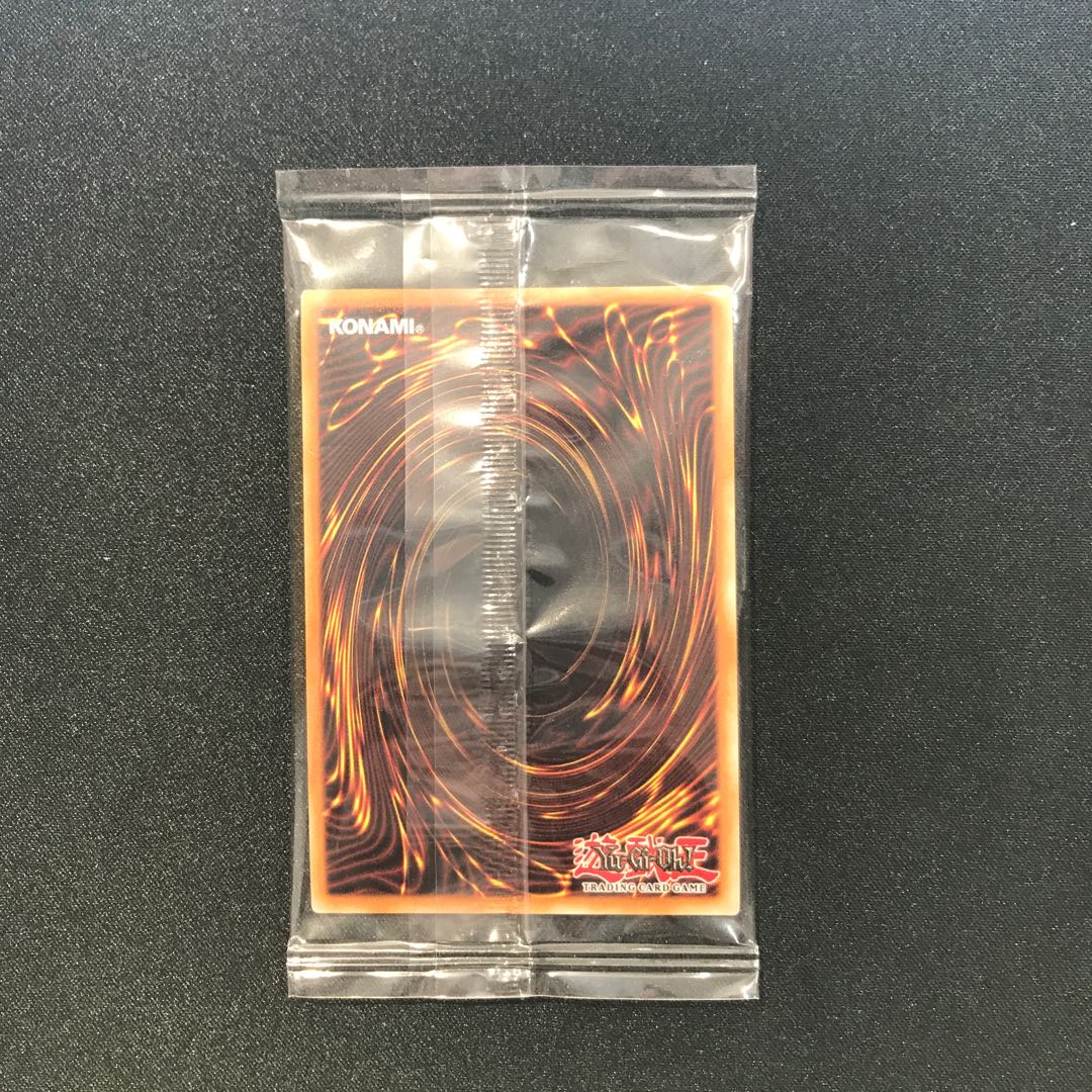 天元の荒鷲王  未開封