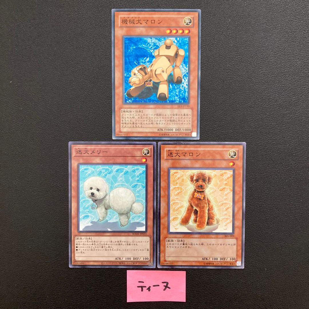 機会犬マロン 迷犬メリー 迷犬マロン