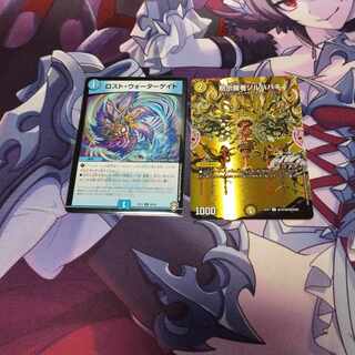 Disappear, Watergate C 80/84 Revealed Sage Sol Habaki