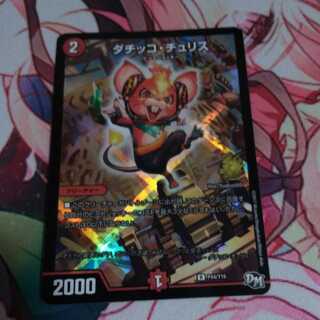 ダチッコチュリス