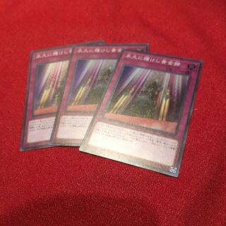 永久に輝けし黄金郷　3枚