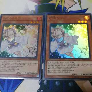 【新品未使用】灰流うらら　ウルトラ2枚セット☆