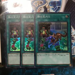 遊戯王　隣の芝刈り　スーパー　3枚