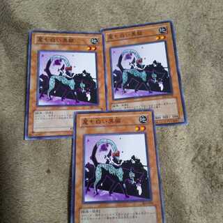 尾も白い黒猫3枚