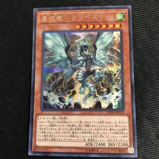 嵐征竜テンペスト　シークレット