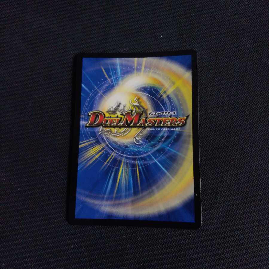 パーフェクトダークネス シク