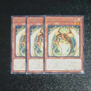 Hundred Apple Dragon - Ringo Blum Rare JP029✕3 [Mokurindo