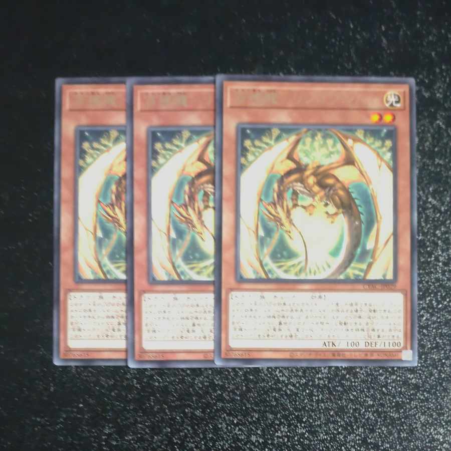 Hundred Apple Dragon - Ringo Blum Rare JP029✕3 [Mokurindo