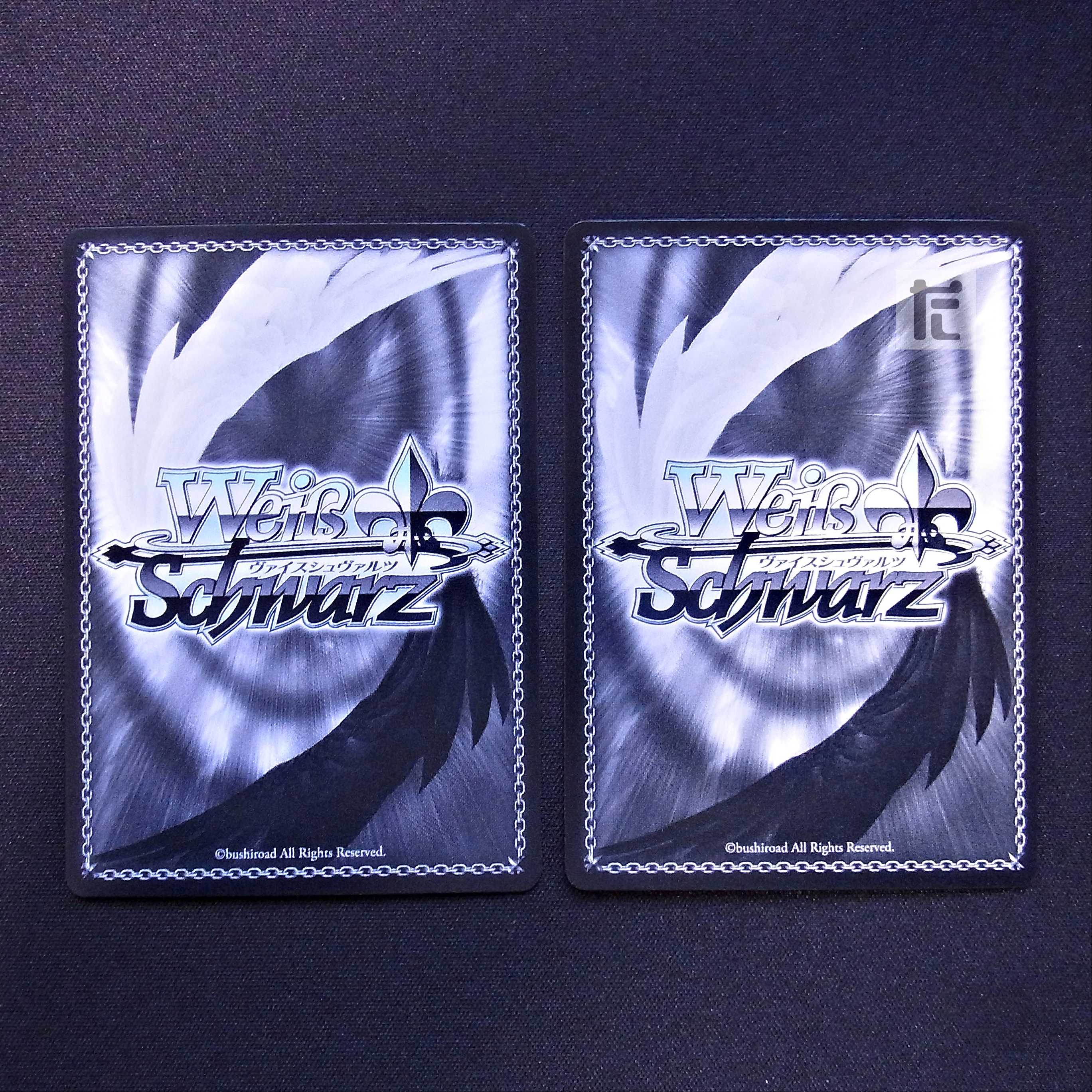 Cruel Fact: Achiroze TD Normal, Set of 2 /Managed by MS0339