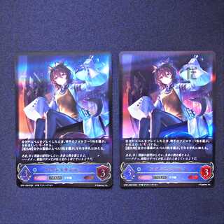 Agnes Tachyon LG, set of 2 / Management:MS0340