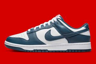 Nike Dunk Low "Valerian Blue" Nike Dunk Low "Valerian Snubbull" DD1391-400 27cm